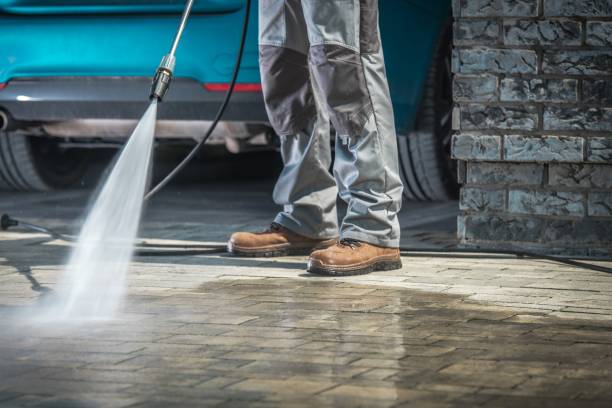 Boat and Dock Cleaning in Salt Creek Commons, IN