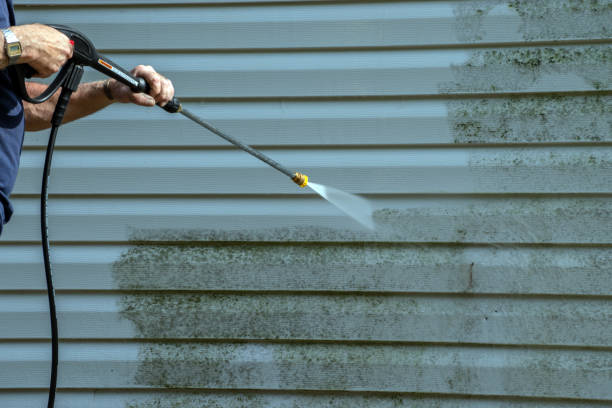 Best Roof Washing  in Salt Creek Commons, IN